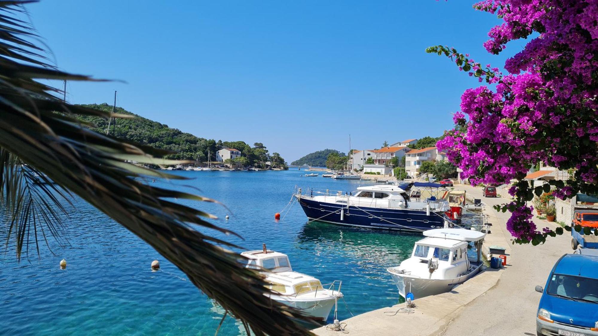 Apartma Agata *